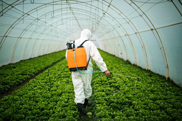 Best Commercial Pest Control Services  in Lancaster, PA