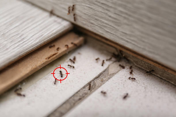 Best Affordable Pest Control Services  in Lancaster, PA